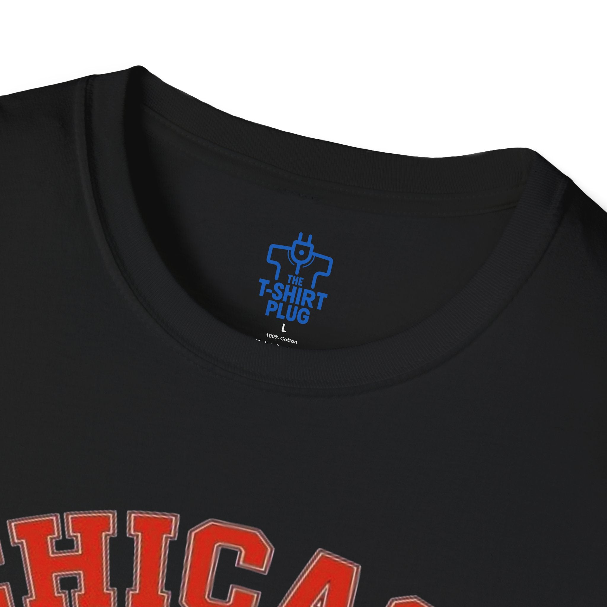 Chicago Bears NFC North Champions 2025 T-Shirt
