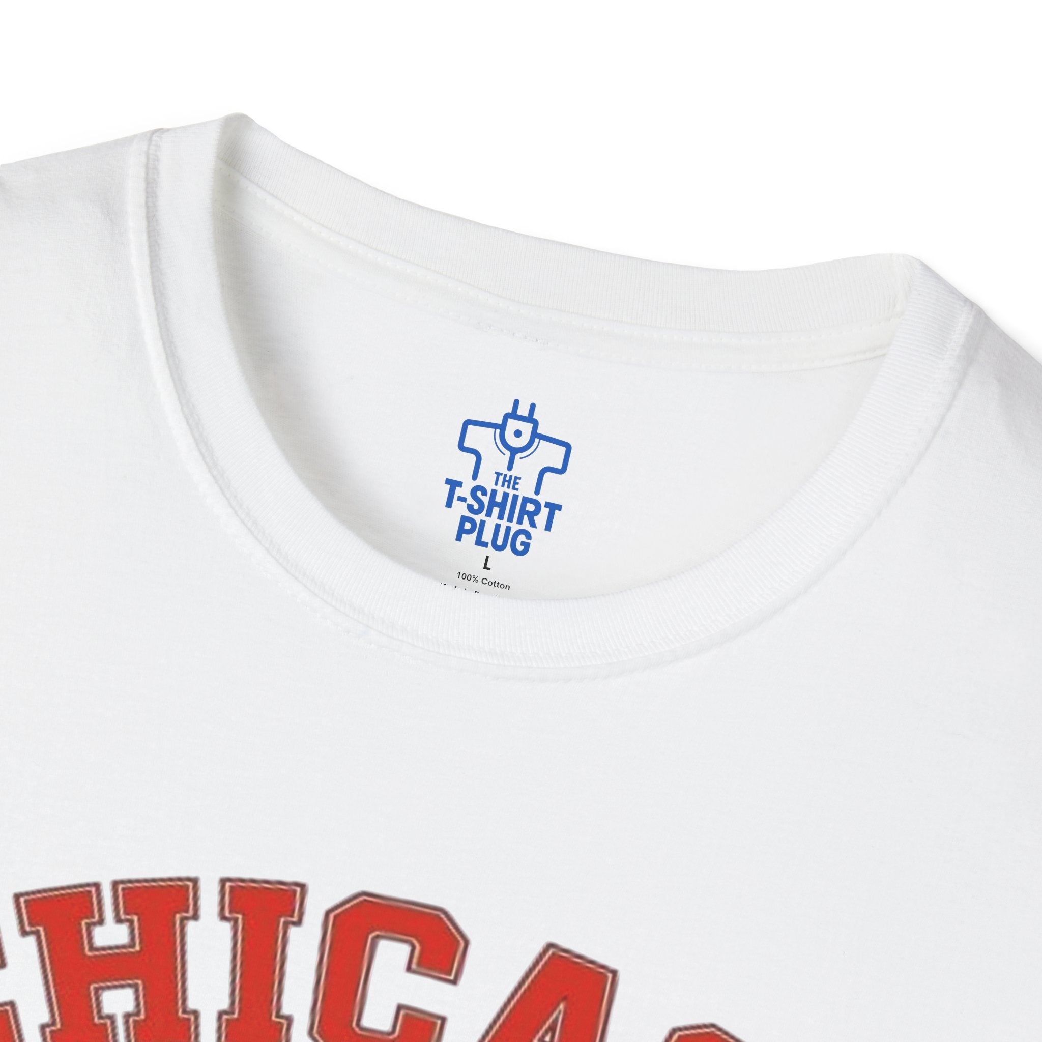 Chicago Bears NFC North Champions 2025 T-Shirt