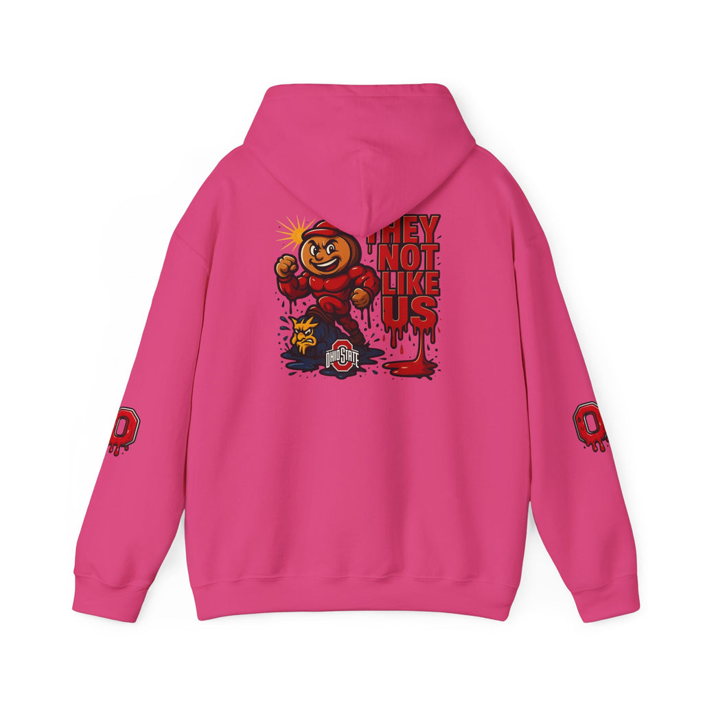 College Football Rivalry Unisex Hooded Sweatshirt, Ohio vs Michigan Drip STOMP!