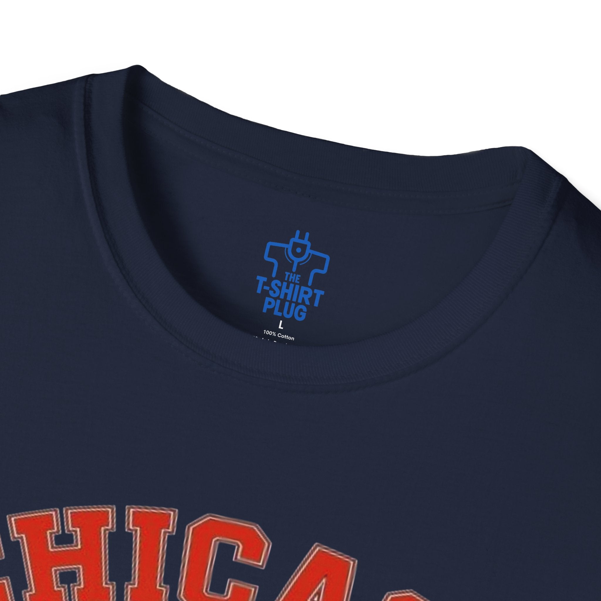 Chicago Bears NFC North Champions 2025 T-Shirt