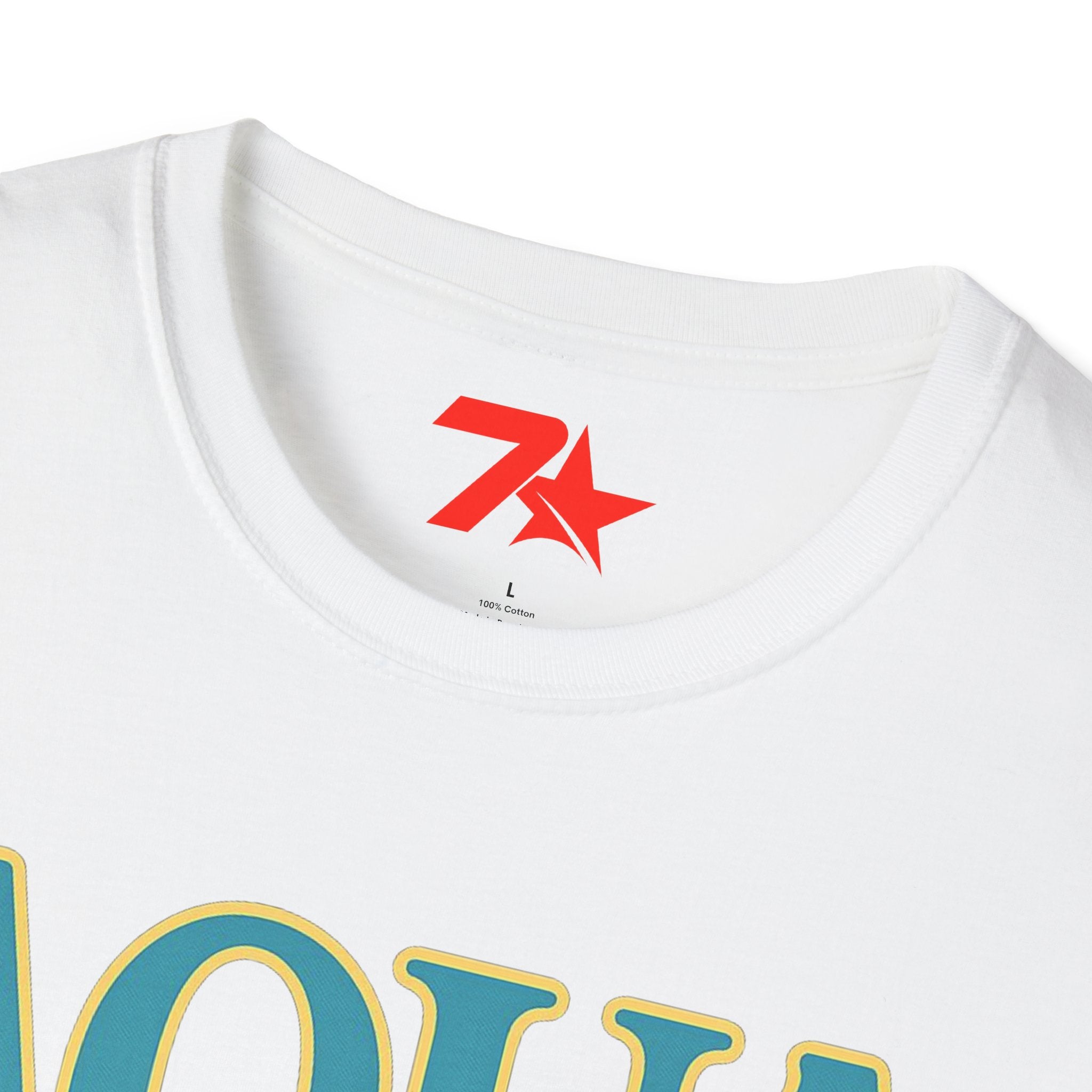 Aqua Ladies Choice T-Shirt, Women's Casual Tee, Unisex Softstyle Shirt,